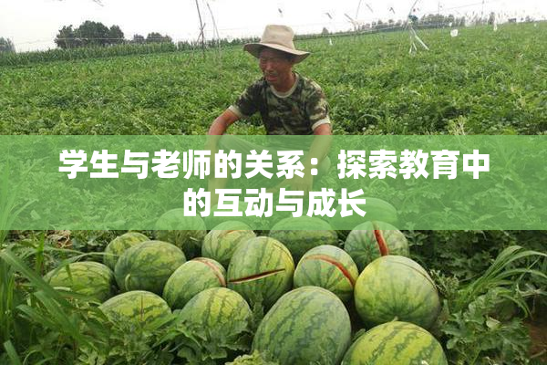 学生与老师的关系：探索教育中的互动与成长