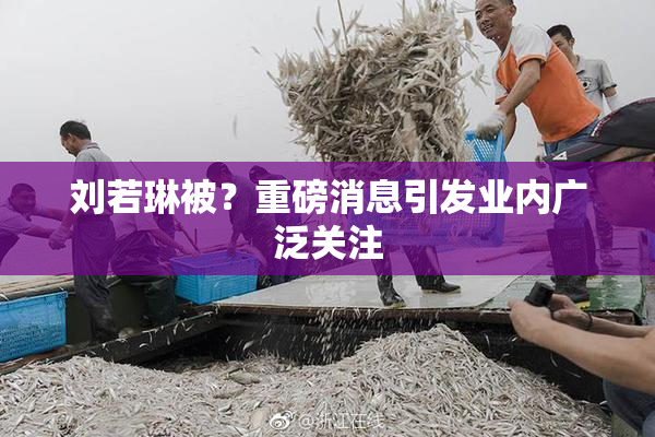 刘若琳被？重磅消息引发业内广泛关注
