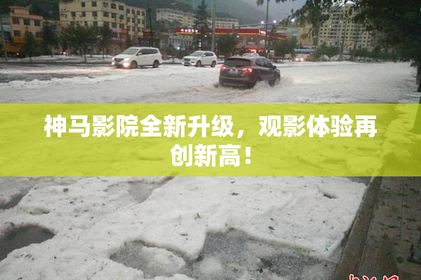 神马影院全新升级，观影体验再创新高！