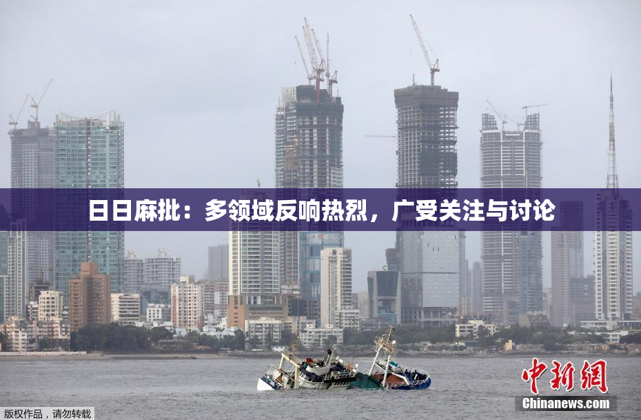 日日麻批：多领域反响热烈，广受关注与讨论