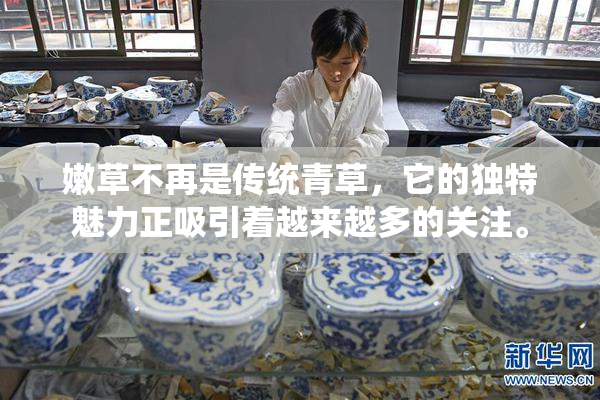 嫩草不再是传统青草，它的独特魅力正吸引着越来越多的关注。