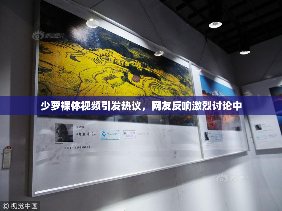 少萝裸体视频引发热议，网友反响激烈讨论中
