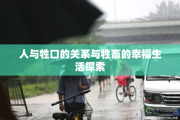 人与牲口的关系与牲畜的幸福生活探索