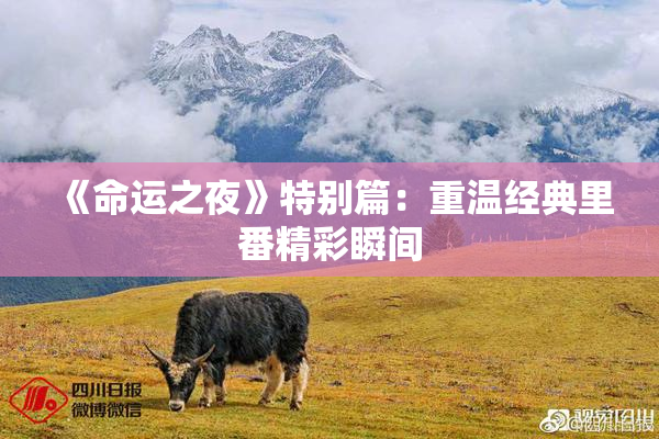 《命运之夜》特别篇：重温经典里番精彩瞬间