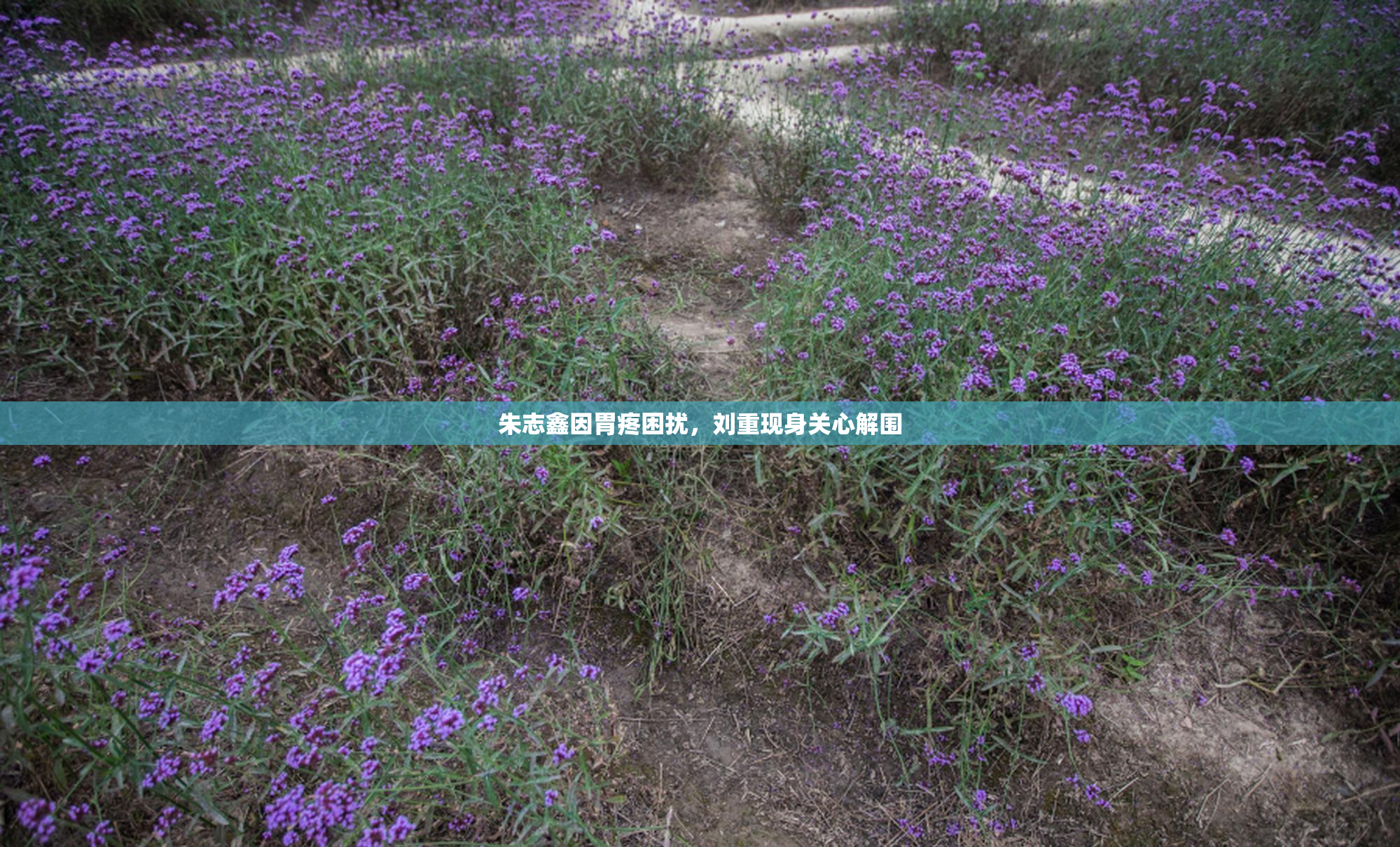 朱志鑫因胃疼困扰，刘重现身关心解围