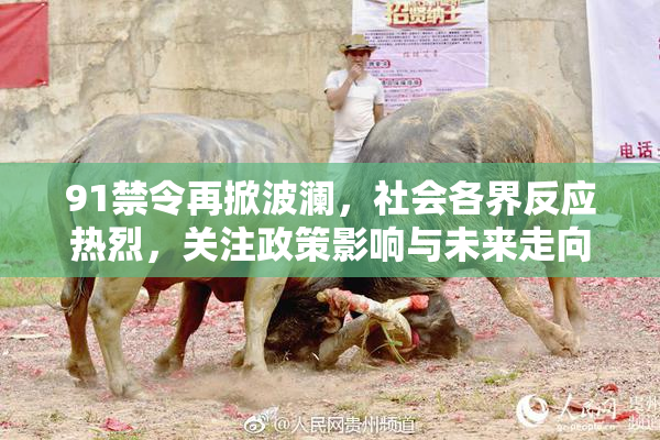 91禁令再掀波澜，社会各界反应热烈，关注政策影响与未来走向