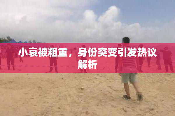 小哀被粗重，身份突变引发热议解析