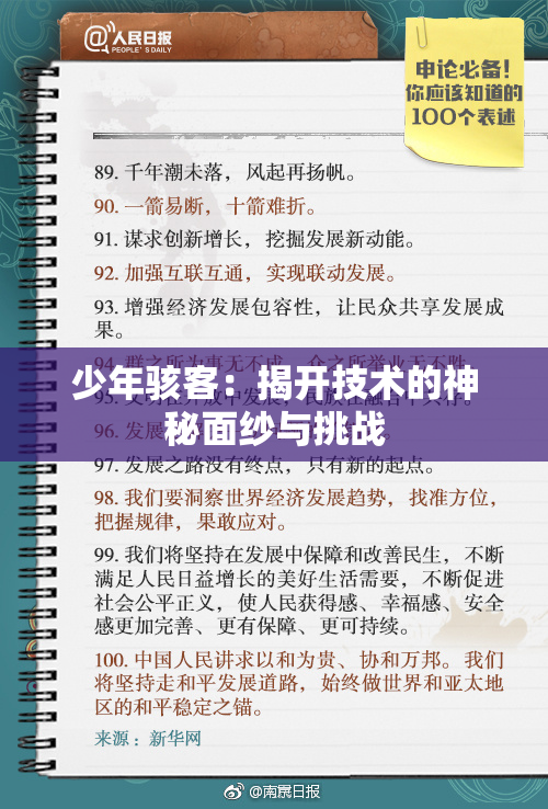 少年骇客：揭开技术的神秘面纱与挑战