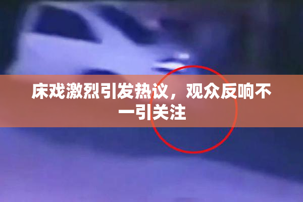 床戏激烈引发热议，观众反响不一引关注
