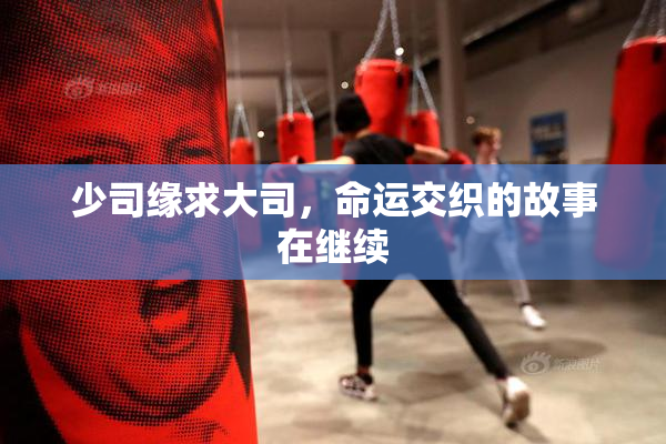少司缘求大司，命运交织的故事在继续