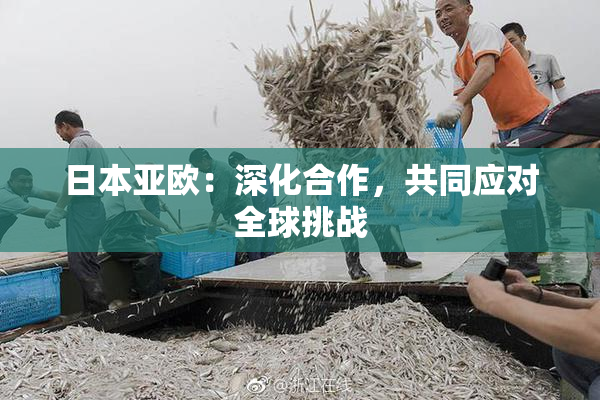 日本亚欧：深化合作，共同应对全球挑战