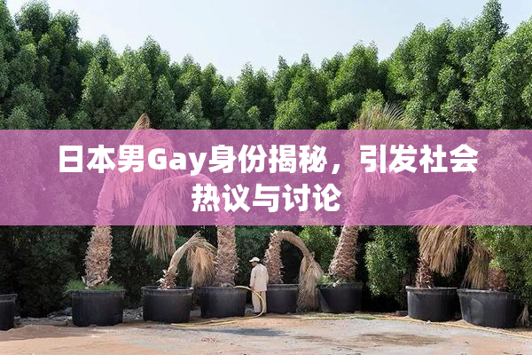 日本男Gay身份揭秘，引发社会热议与讨论