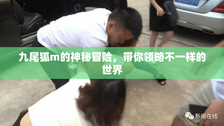 九尾狐m的神秘冒险，带你领略不一样的世界