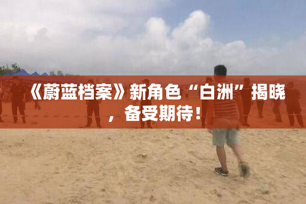 《蔚蓝档案》新角色“白洲”揭晓，备受期待！
