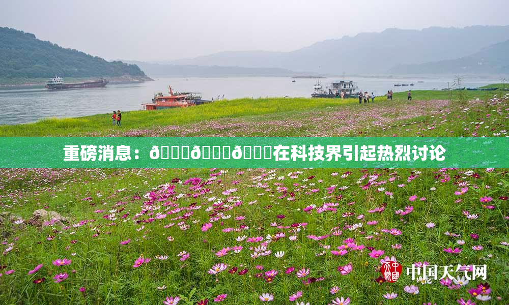 重磅消息：🍆🍑🔞在科技界引起热烈讨论
