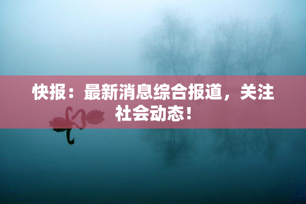 快报：最新消息综合报道，关注社会动态！