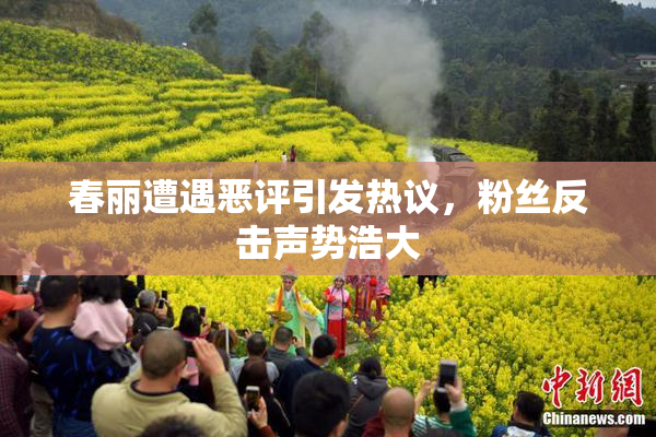 春丽遭遇恶评引发热议，粉丝反击声势浩大