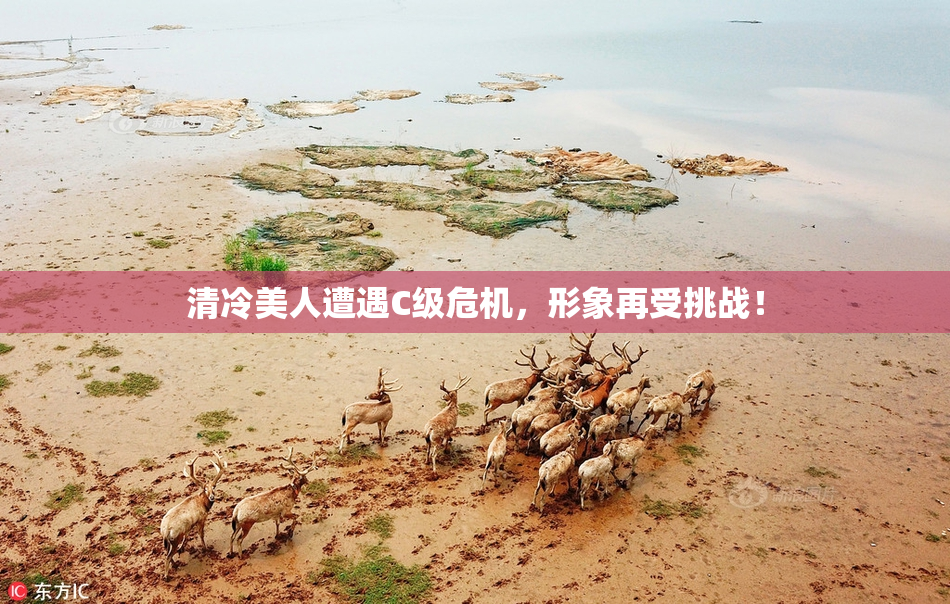 清冷美人遭遇C级危机，形象再受挑战！