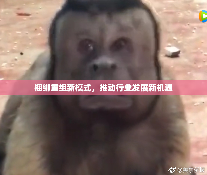 捆绑重组新模式，推动行业发展新机遇