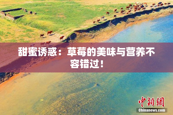 甜蜜诱惑：草莓的美味与营养不容错过！