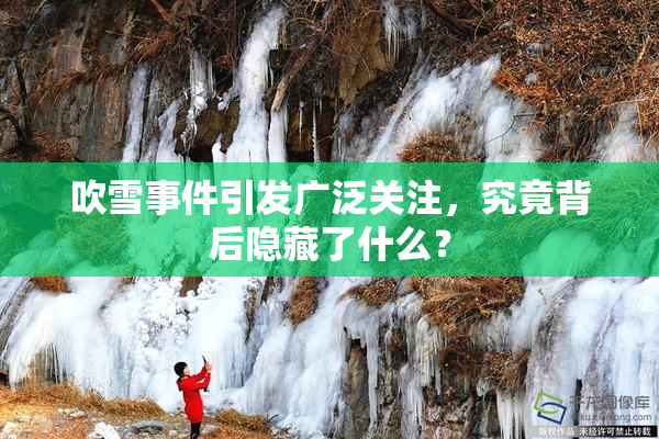 吹雪事件引发广泛关注，究竟背后隐藏了什么？
