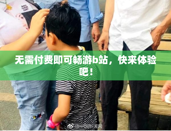 无需付费即可畅游b站，快来体验吧！