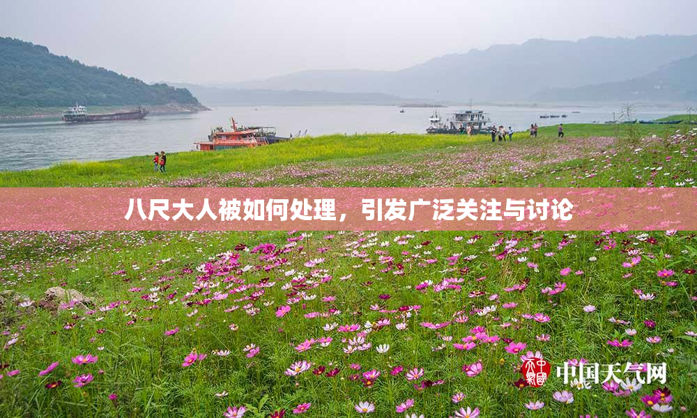 八尺大人被如何处理，引发广泛关注与讨论