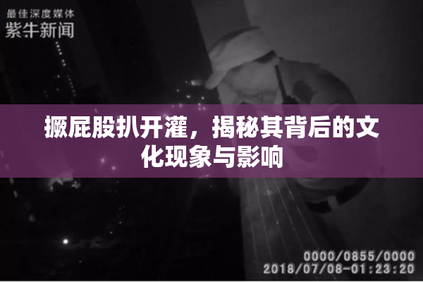 撅屁股扒开灌，揭秘其背后的文化现象与影响