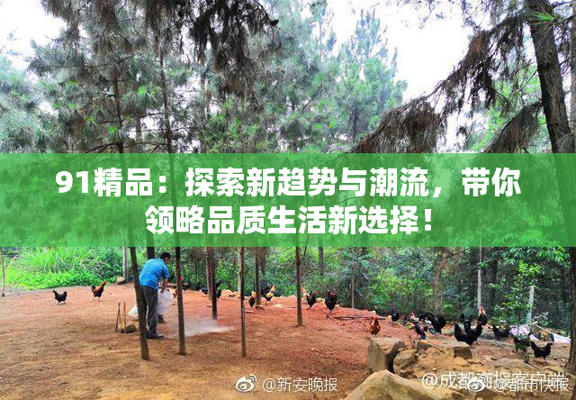 91精品：探索新趋势与潮流，带你领略品质生活新选择！