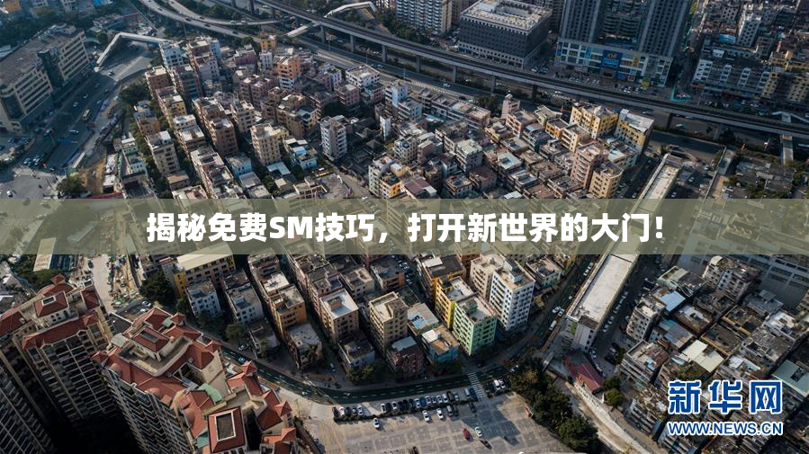 揭秘免费SM技巧，打开新世界的大门！