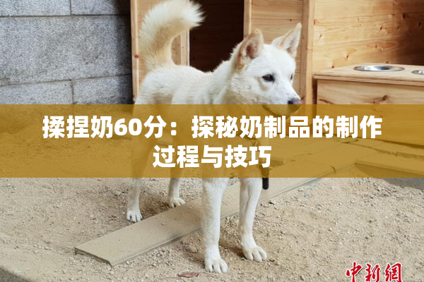 揉捏奶60分：探秘奶制品的制作过程与技巧