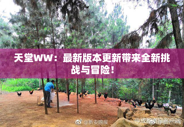 天堂WW：最新版本更新带来全新挑战与冒险！
