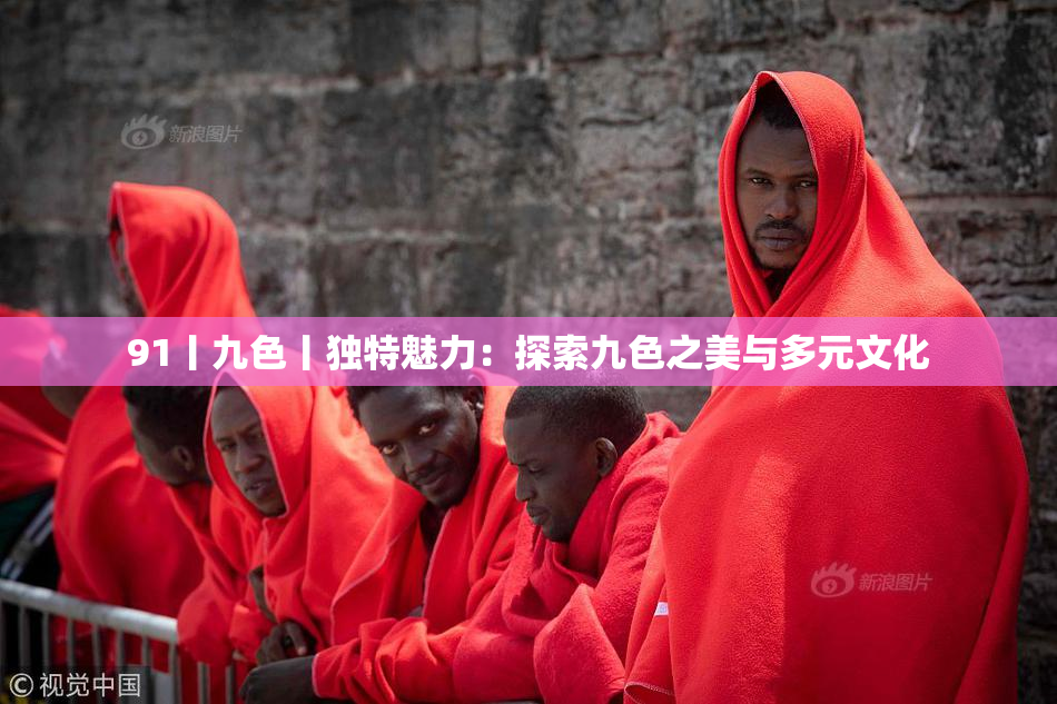 91丨九色丨独特魅力：探索九色之美与多元文化