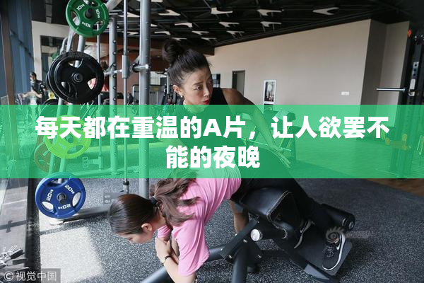 每天都在重温的A片，让人欲罢不能的夜晚
