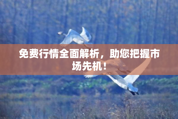免费行情全面解析，助您把握市场先机！