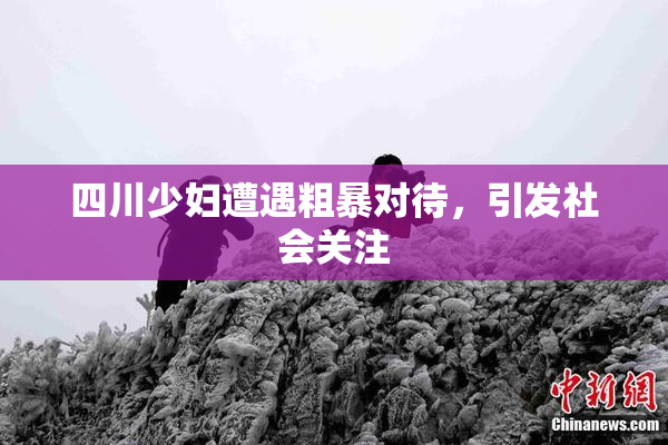 四川少妇遭遇粗暴对待，引发社会关注