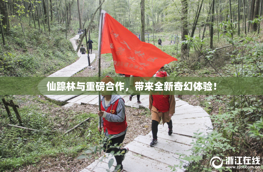 仙踪林与重磅合作，带来全新奇幻体验！