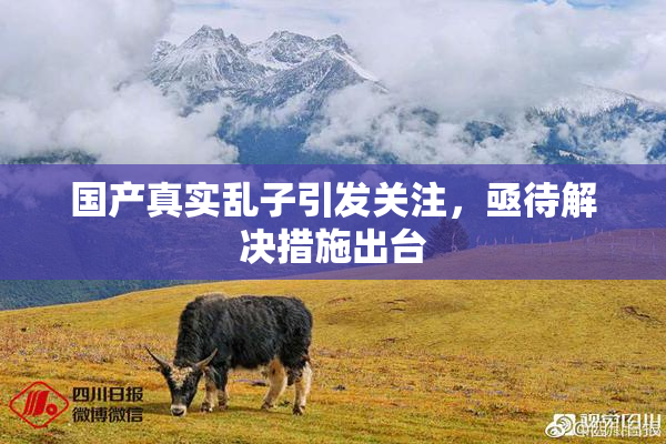 国产真实乱子引发关注，亟待解决措施出台