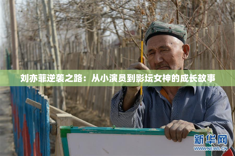 刘亦菲逆袭之路：从小演员到影坛女神的成长故事