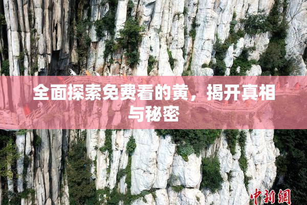 全面探索免费看的黄，揭开真相与秘密