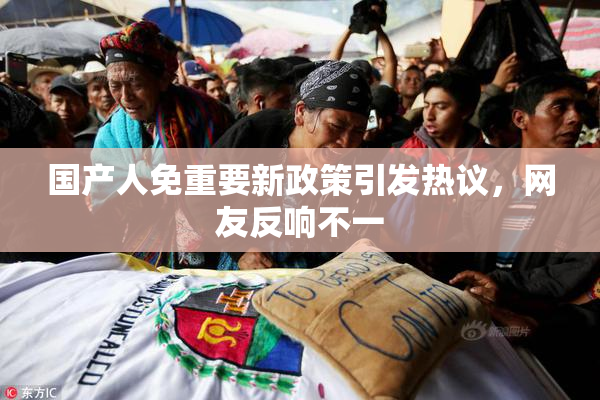 国产人免重要新政策引发热议，网友反响不一
