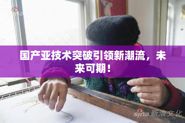 国产亚技术突破引领新潮流，未来可期！
