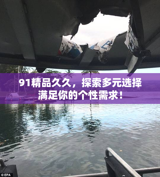 91精品久久，探索多元选择满足你的个性需求！