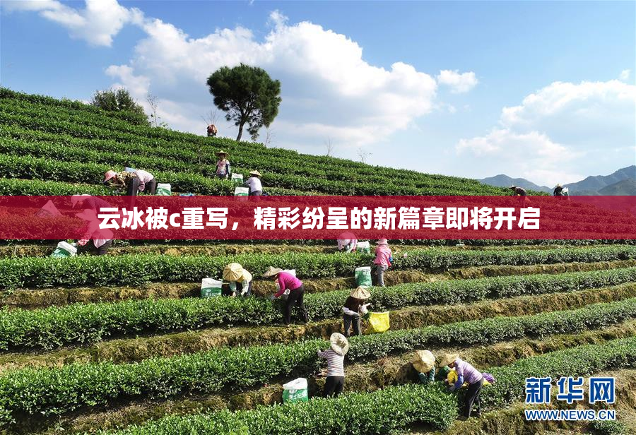 云冰被c重写，精彩纷呈的新篇章即将开启