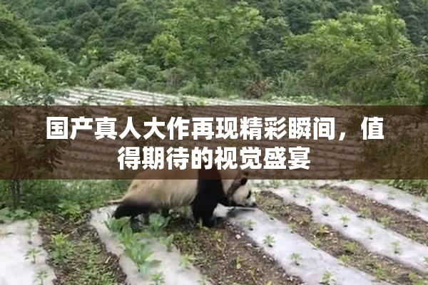 国产真人大作再现精彩瞬间，值得期待的视觉盛宴