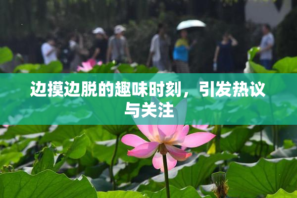 边摸边脱的趣味时刻，引发热议与关注