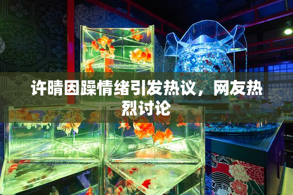 许晴因躁情绪引发热议，网友热烈讨论