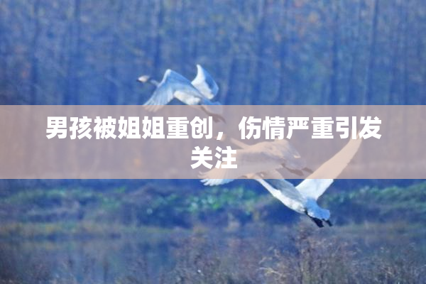 男孩被姐姐重创，伤情严重引发关注