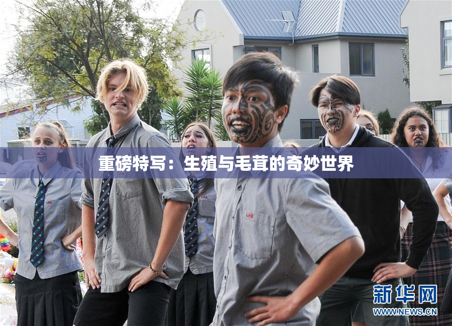 重磅特写：生殖与毛茸的奇妙世界