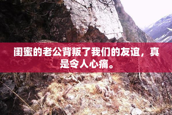 闺蜜的老公背叛了我们的友谊，真是令人心痛。